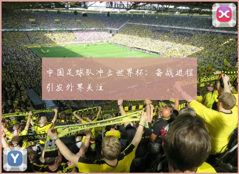 中国足球队冲击世界杯：备战进程引发外界关注