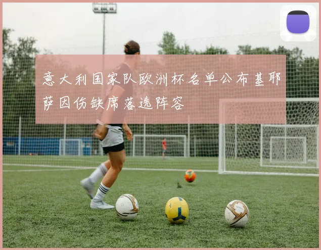 意大利国家队欧洲杯名单公布基耶萨因伤缺席落选阵容