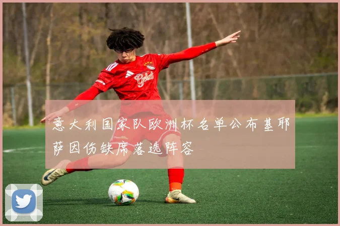 意大利国家队欧洲杯名单公布基耶萨因伤缺席落选阵容